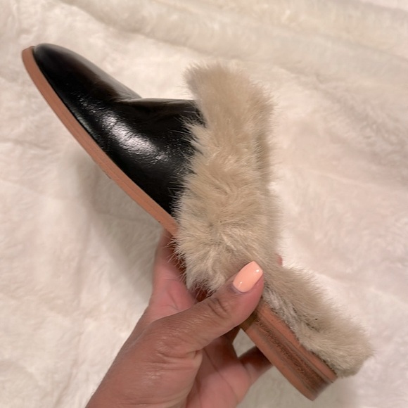 STEVE MADDEN FINCH MULES - Picture 5 of 6